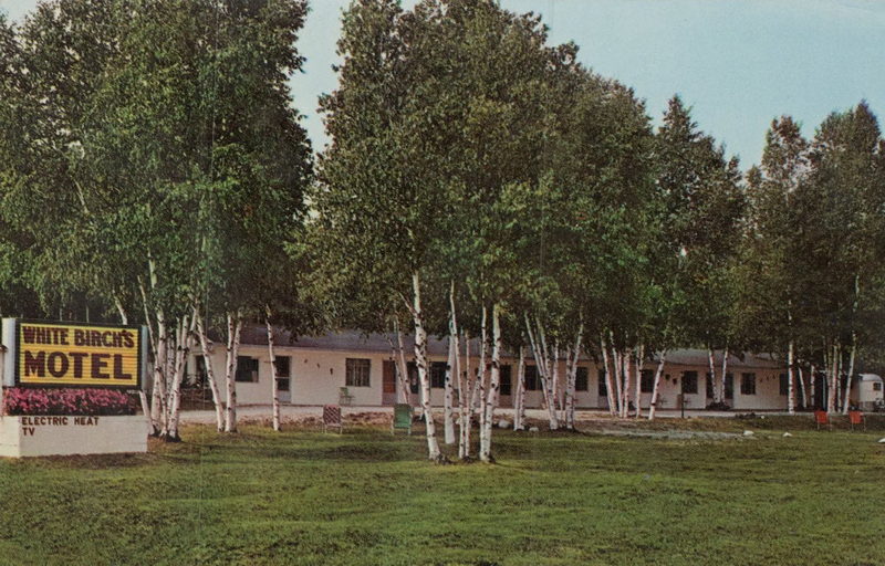 White Birchs Motel - Old Postcard